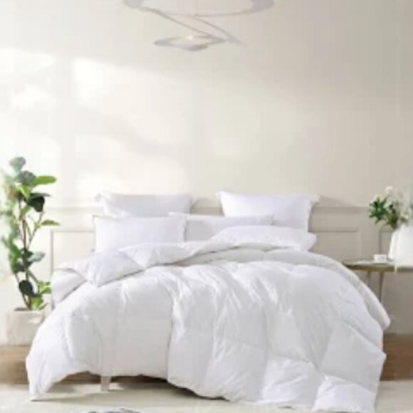 All Season Warmth White Goose Feather and Down Fiber Comforter, Full/Queen - Picture 1 of 3